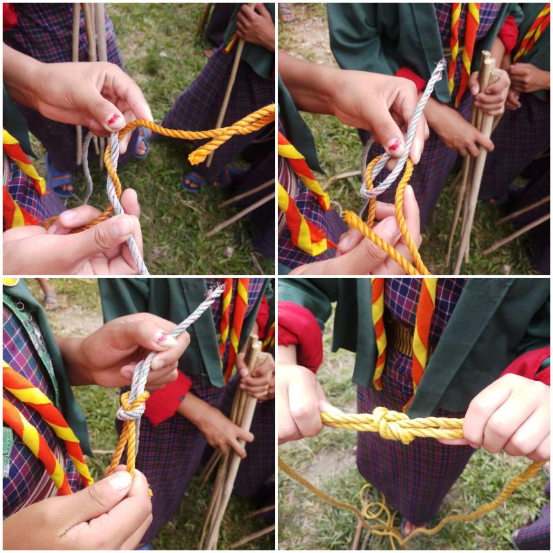 knots