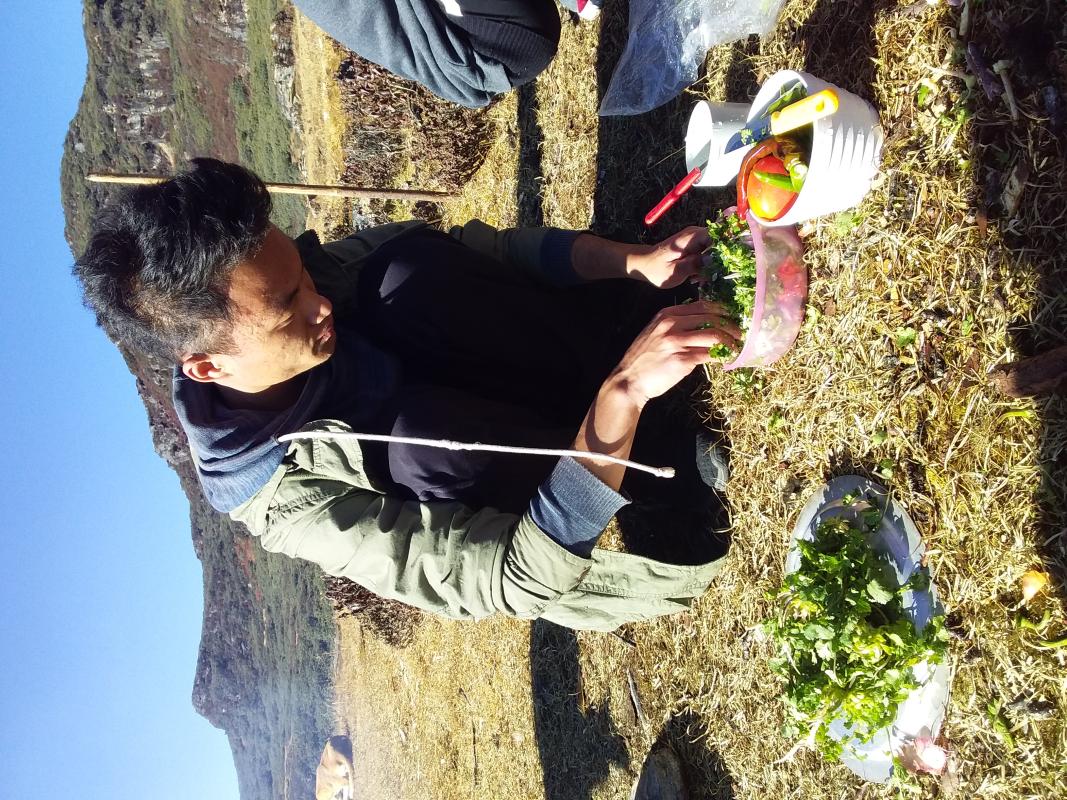 Camping towards phajoding