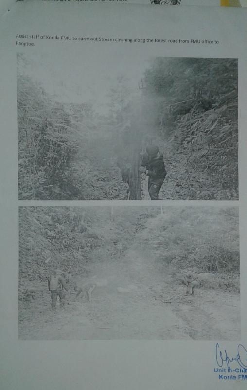 Stream cleaning with KFMU ( Korila Forest Management Unit)