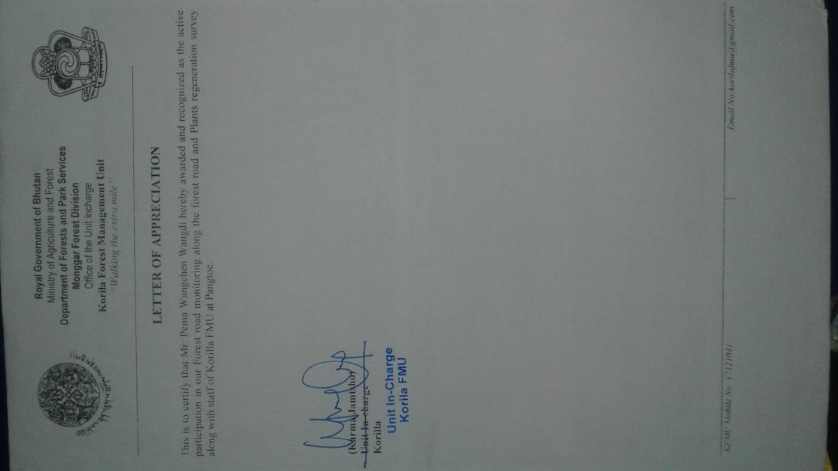 Road monitoring and plants regeneration survey.