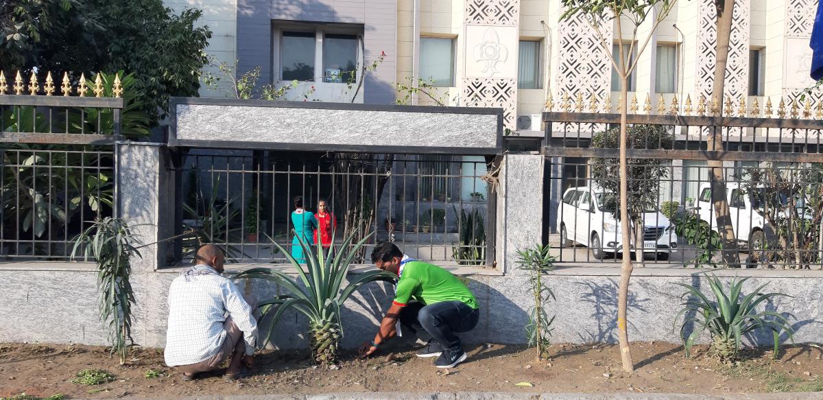 Tree on global warming is gone 3