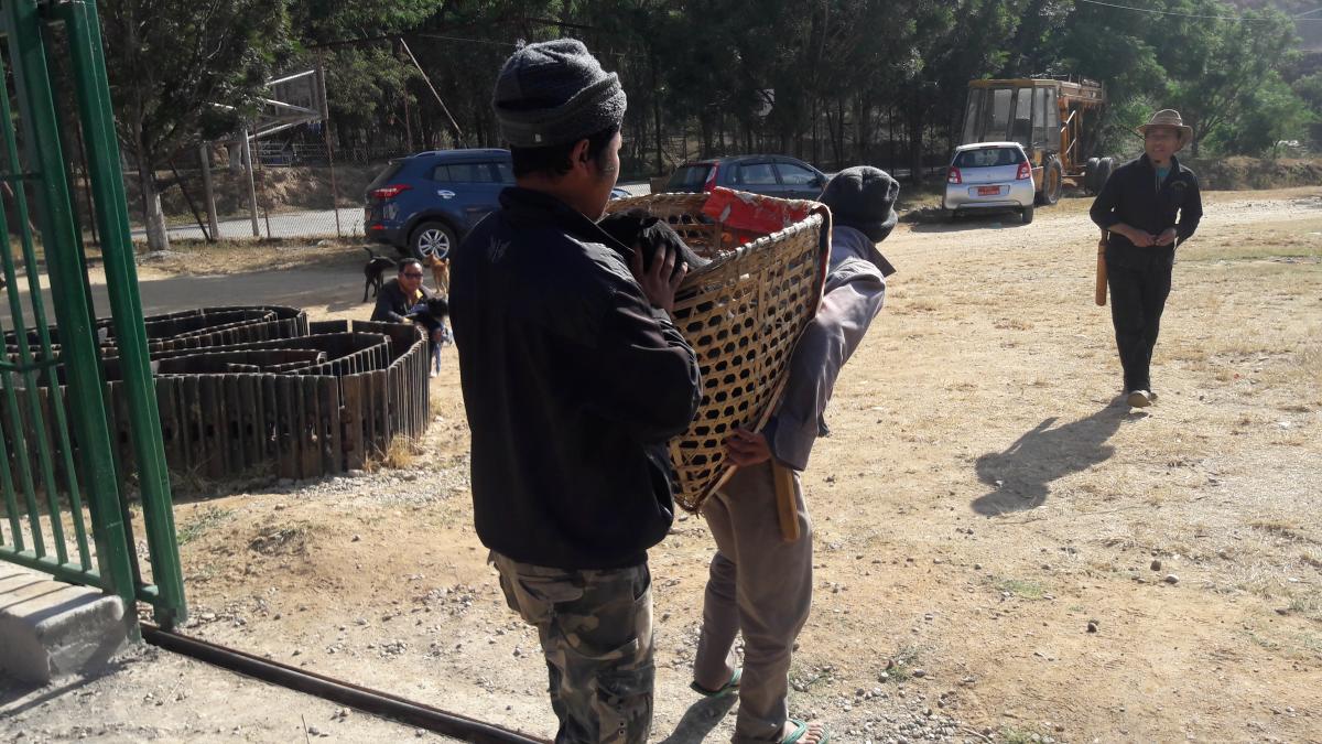 Citizen safe from rabies and scabies