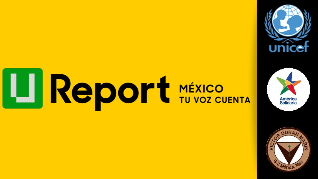 U-report México. 