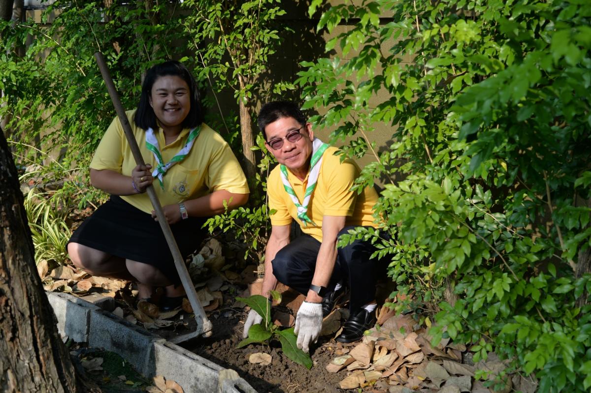 โปรเจคปลูกต้นไม้ ถวายพ่อหลวง ร.9