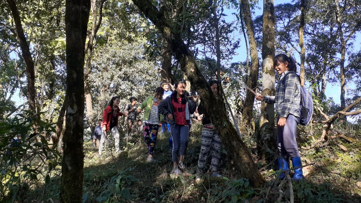 Clearing the Unwanted plants in Community Forest 