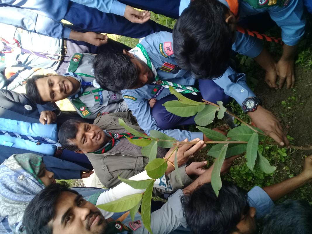 বৃক্ষ রোপন কর্মসূচি ২০২০ 