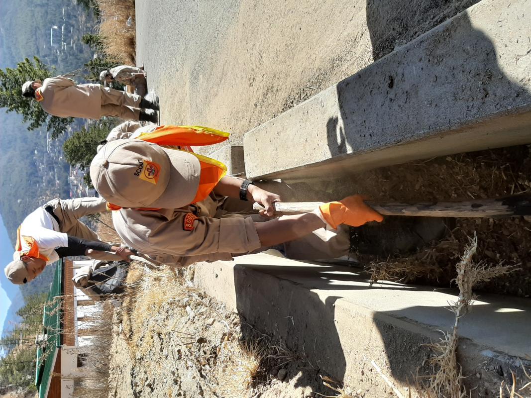 Cleaning drainage