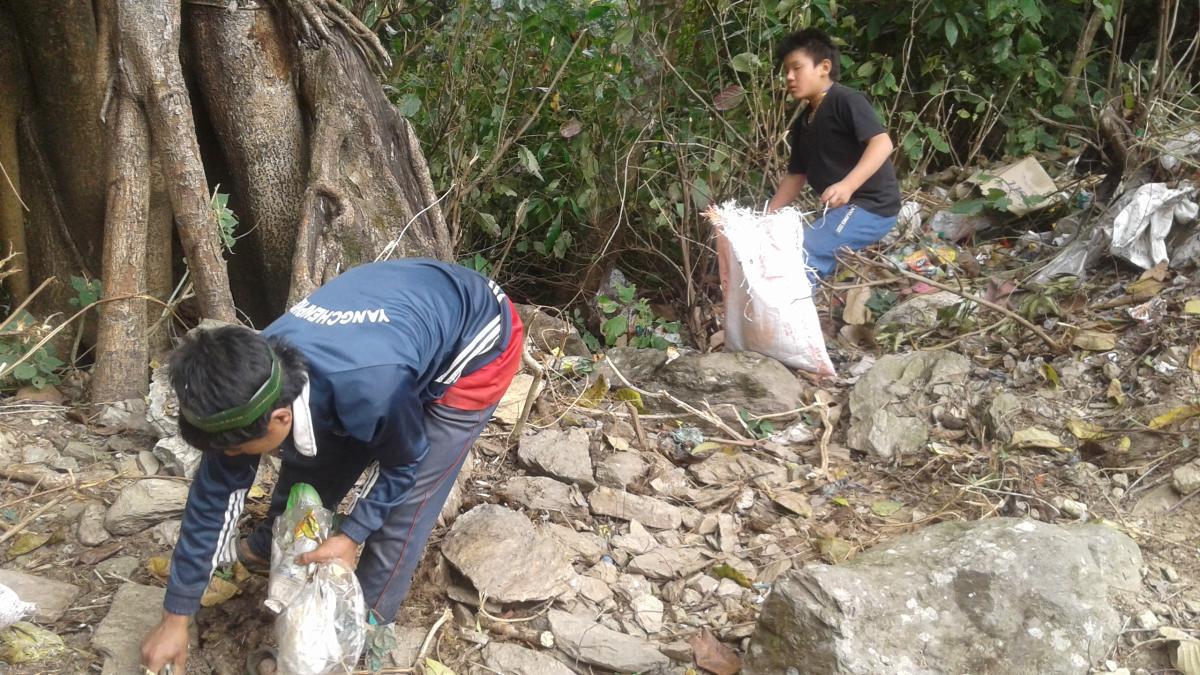 mass cleaning campaign 