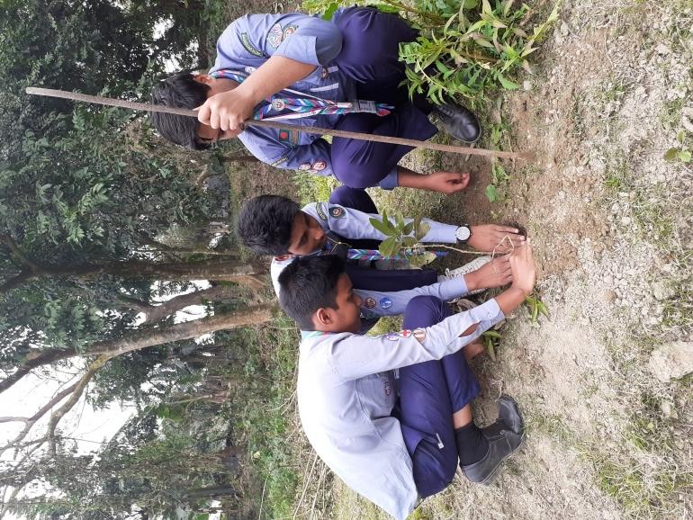 বৃক্ষরোপন অভিযান