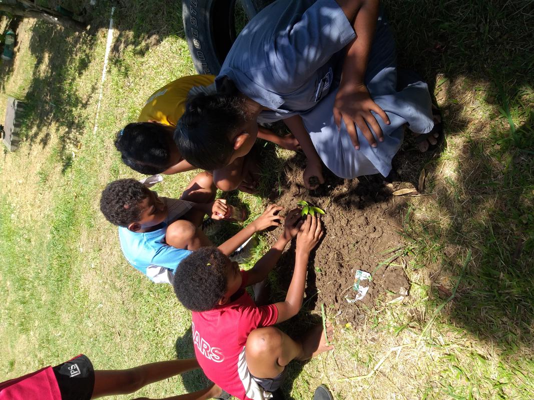 Making the World Green by Tree Planting 