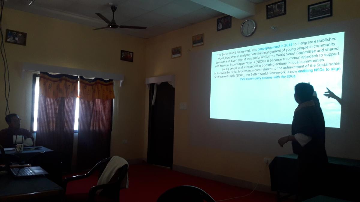 Crash Course on Scouting Program