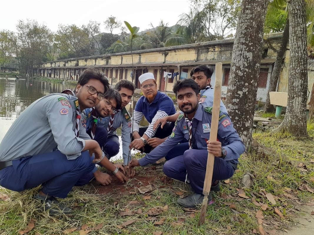Tree plantation 