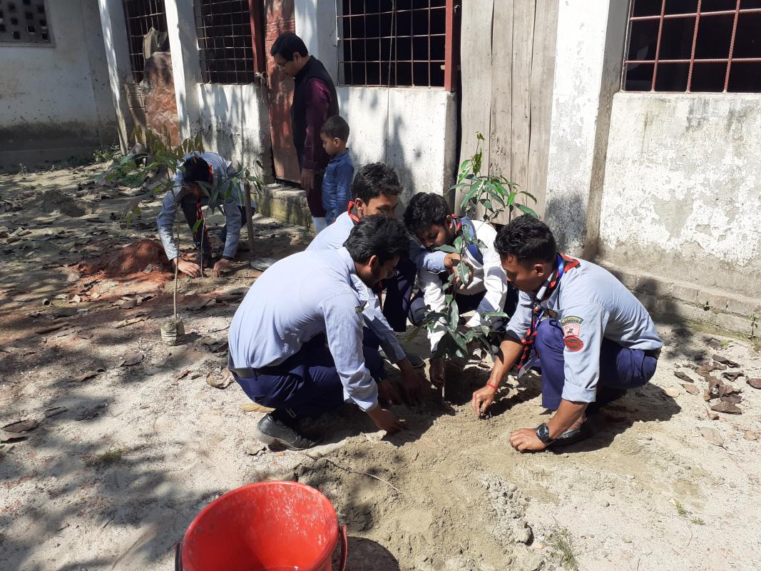 বৃক্ষ রোপন কর্মসূচি  