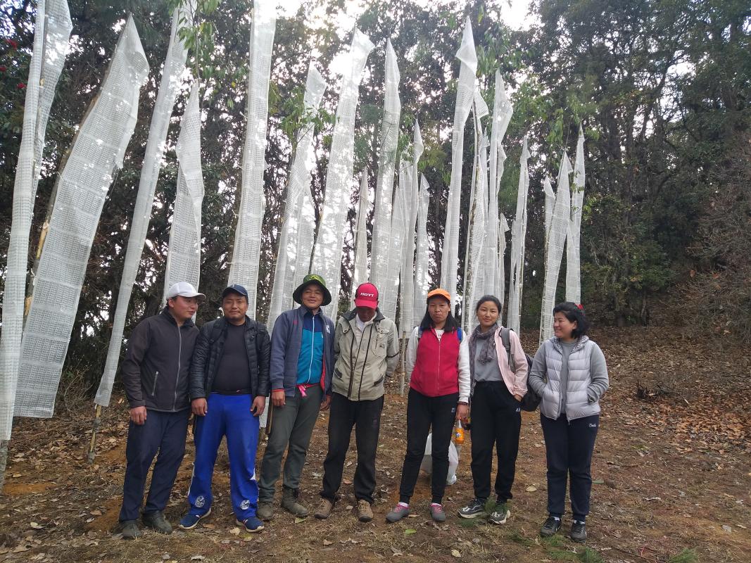 Third round of eracting prayer flags