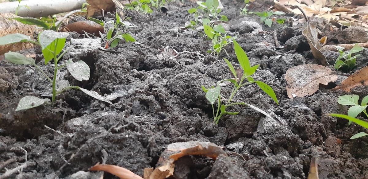 SANKALP TO CREATE A BETTER TOMORROW