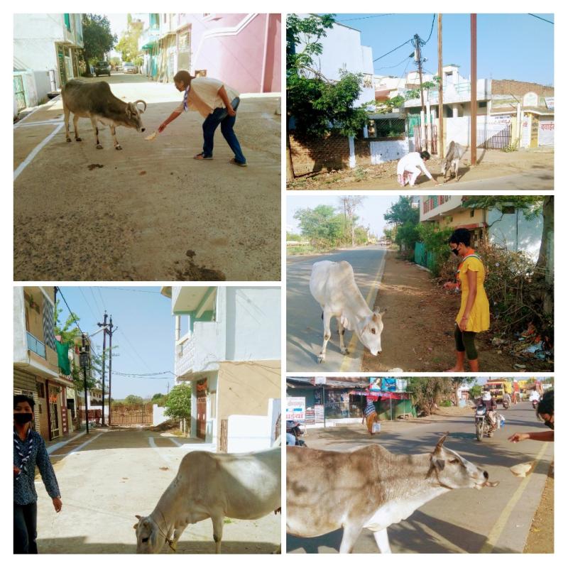 Pronect SANKALP