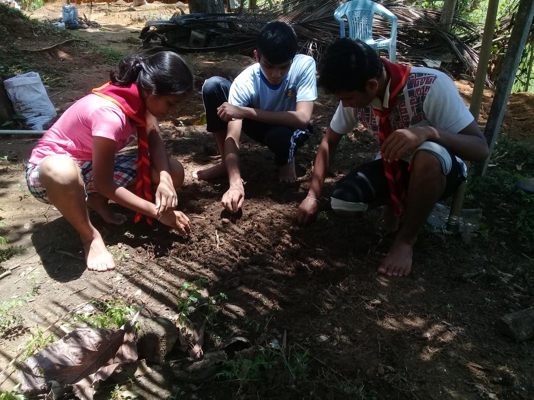 Let's grow plants