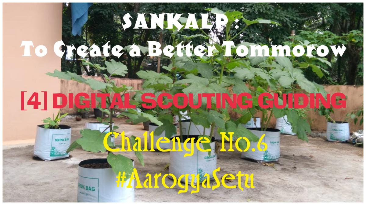 SANKALP : To Create a Better Tommorow | [4] Digital Scouting Guiding | Project Report of Challenge No. 6 #AarogyaSetu