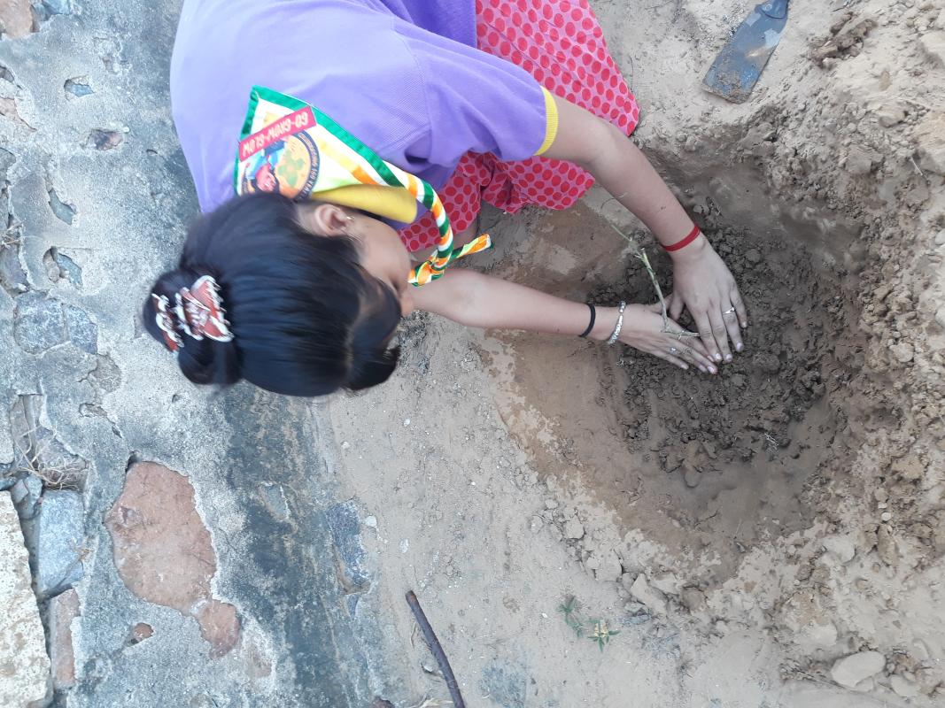 PROJECT_SANKALP #goorganic 