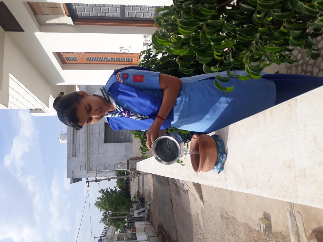 feeding birds  ( project SANKALP)