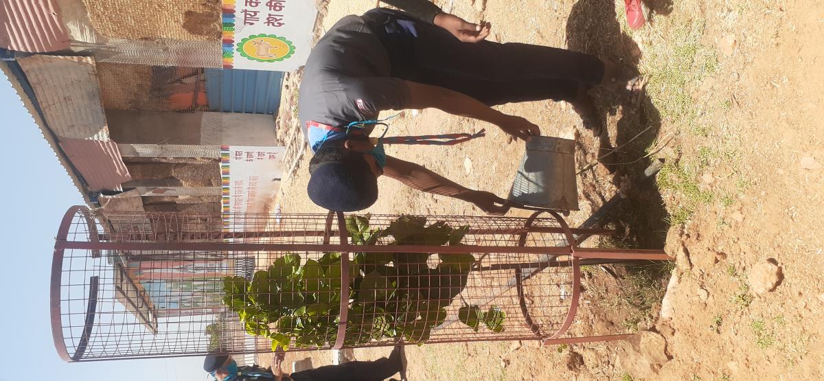 पर्यावरण स्थिरता