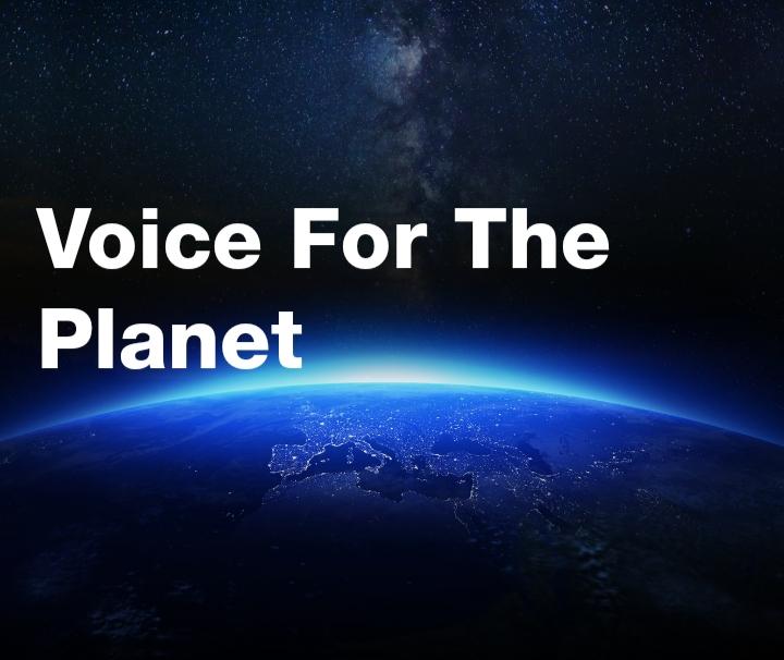 Earth hour "voice for the planet"
