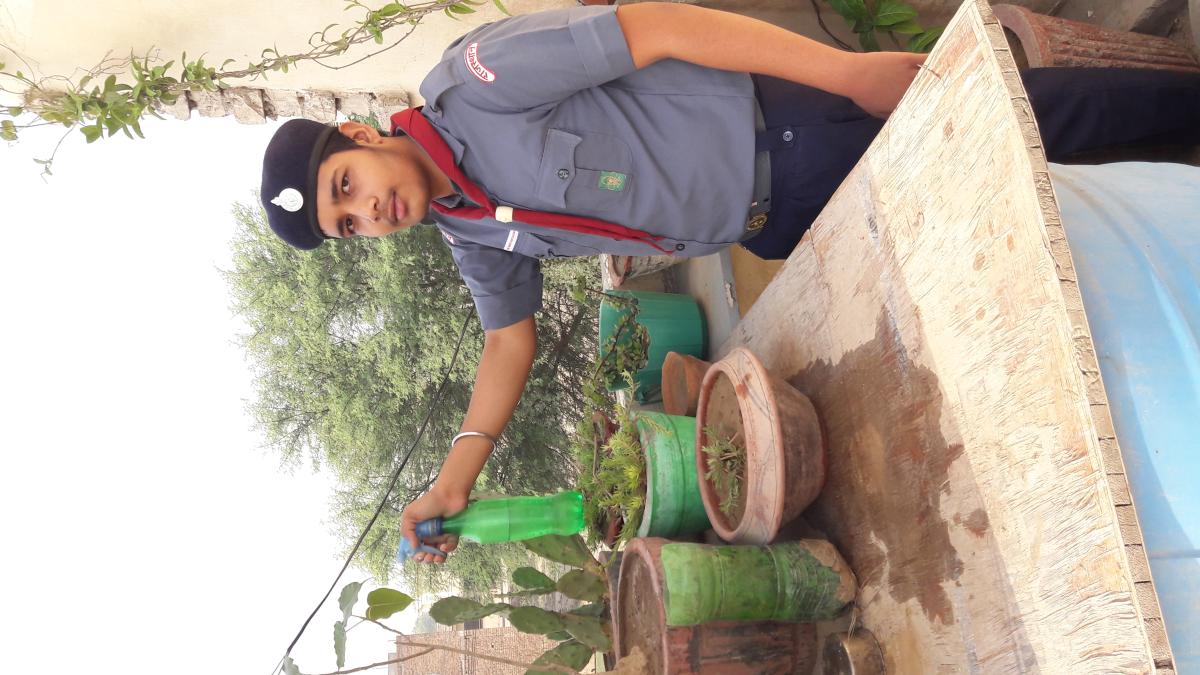 Watering plants at home in lockdown..