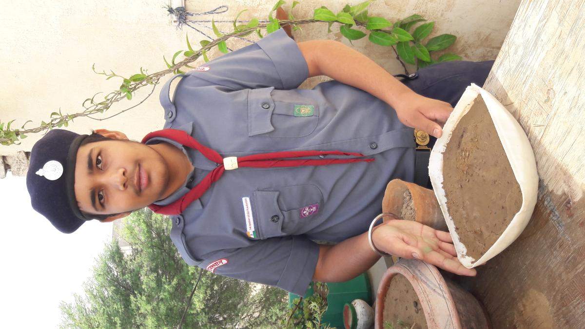 Beejaropan