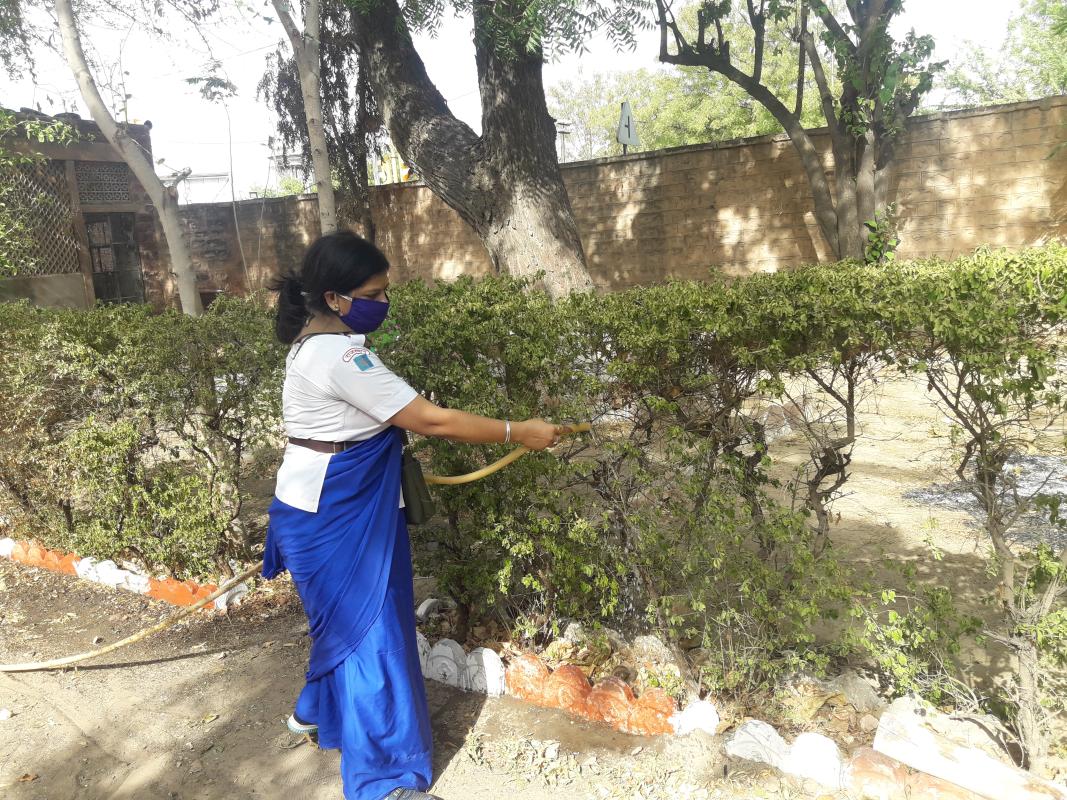 पौधों की देखरेख करते हुए यूनिट लीडर सुमन चारण