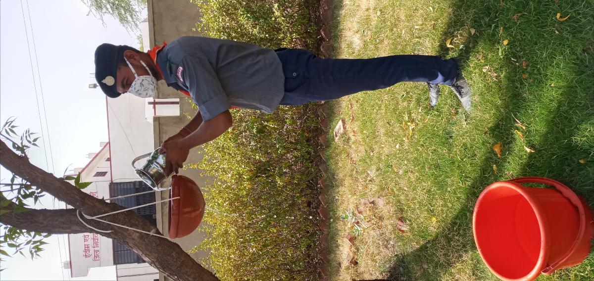 झुन्झुनूं तहसीलदार ऑफ़िस के पार्क मे लगाये परिंड़े 