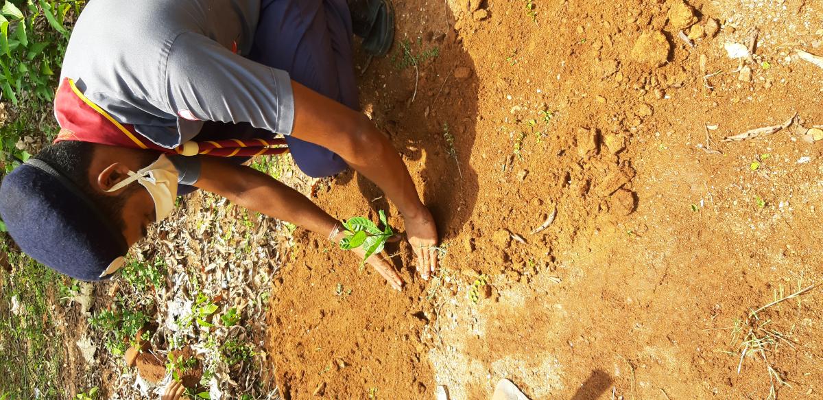 Celebrating World Environment Day 