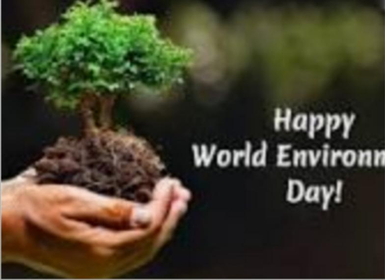 WORLD ENVIRONMENT DAY 2020: BIODIVERSITY 