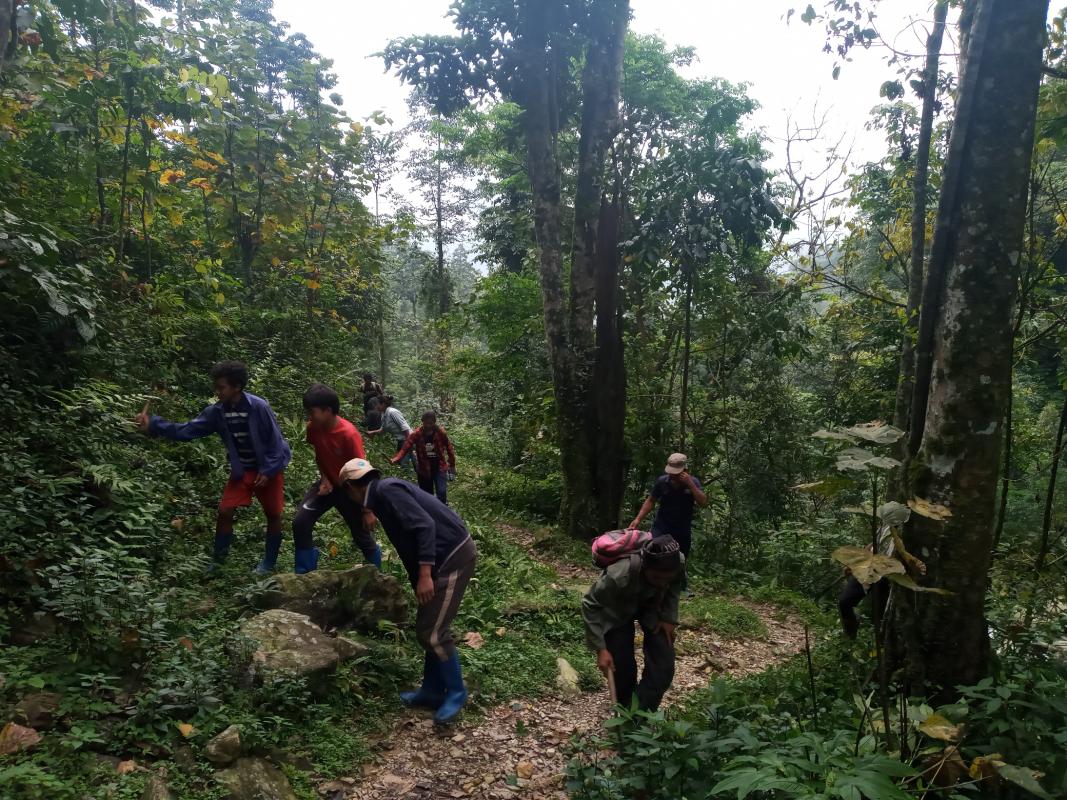 Clearing bushes for safe community path towards Highway. 