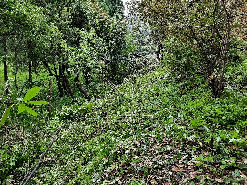 Clearing and making of Footpath