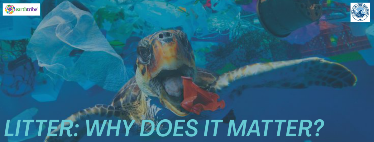 Litter...Why Does It Matter??? [TTPC]