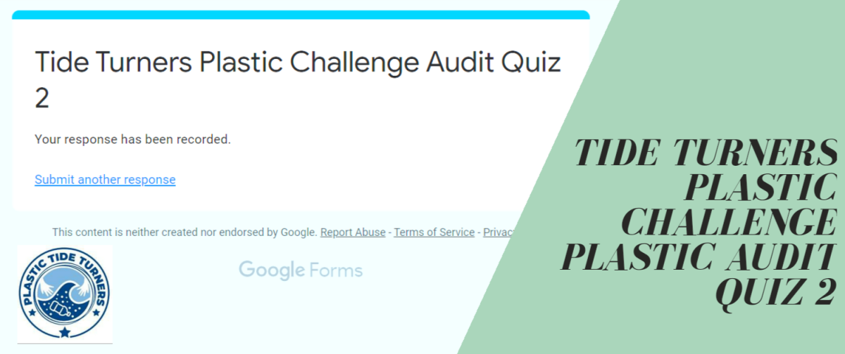 PLASTIC AUDIT QUIZ 2 [TTPC]
