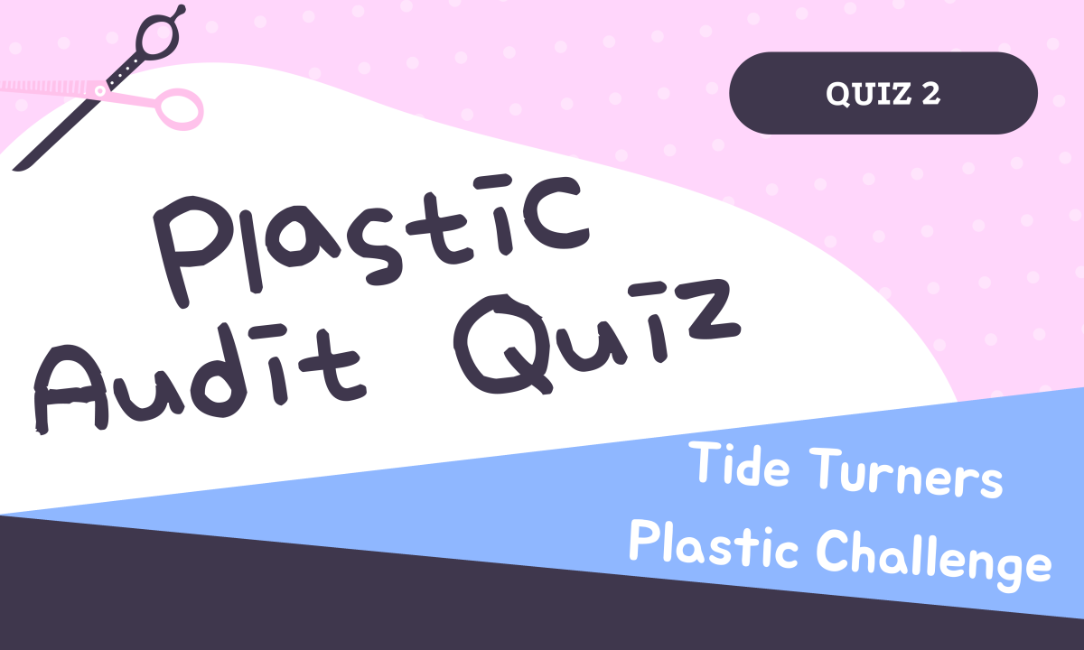 Tide Turners Plastic Challenge - Plastic Audit Qiuz 2