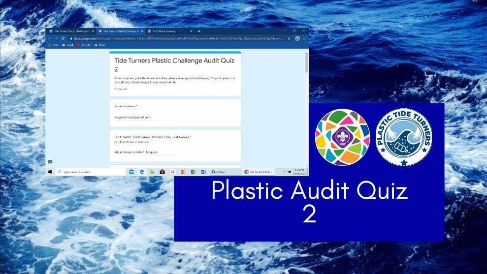 Plastic Audit Quiz 2