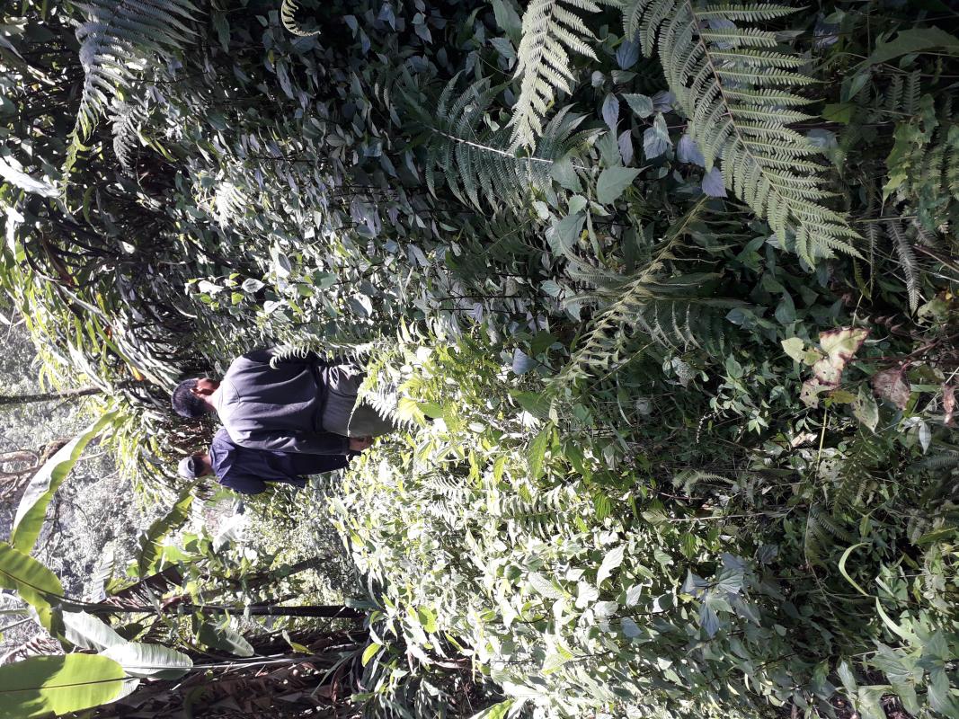 Cleaning Water Source