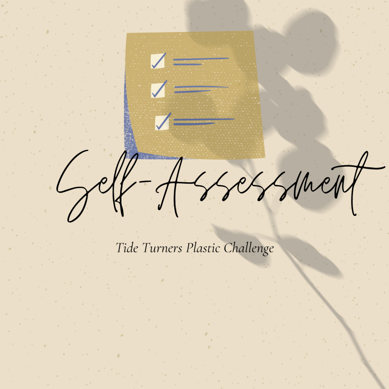 Self-Assessment (TTPC)