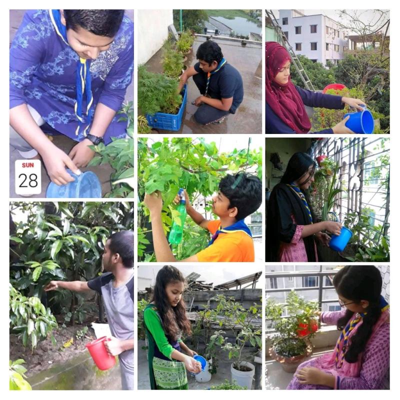 Scouts are taking care of trees during lockdown.