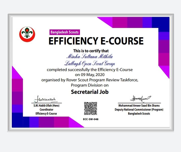 Efficiency E - course