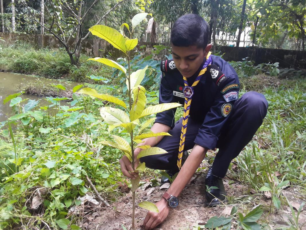 Tree Plantation Program... Making the World Green 
