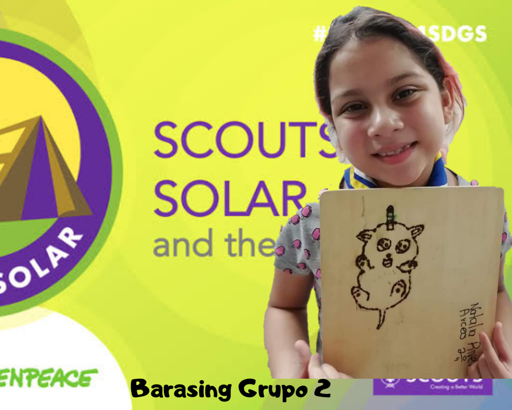 GO SOLAR DESDE CASA BARASING