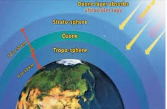  "कचरा हटाओ, पेड़ लगाओ,ओजोन परत को बचाओं