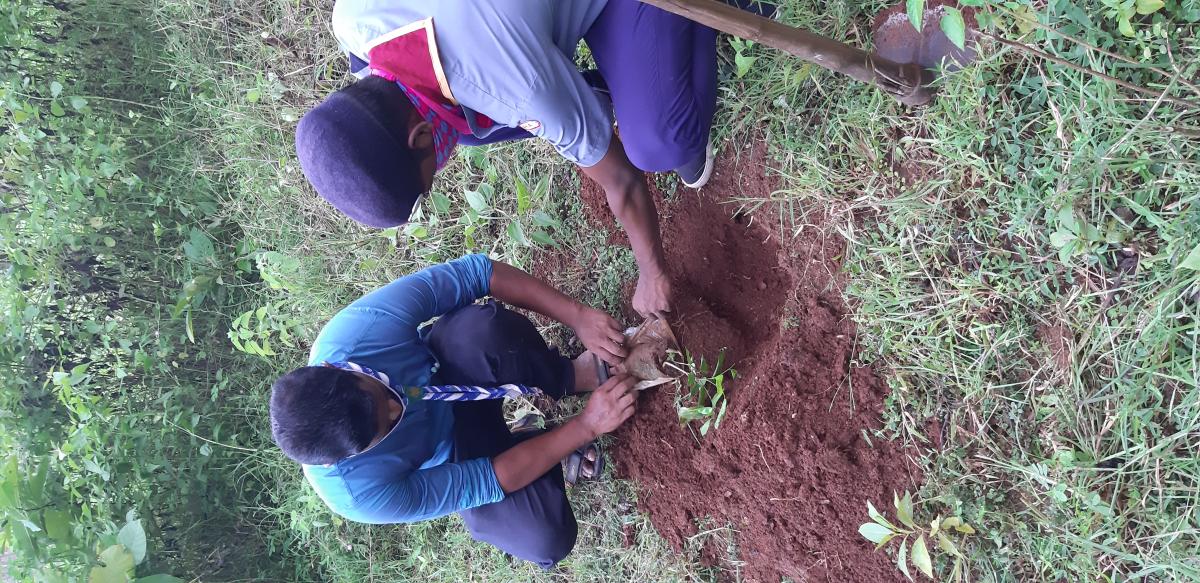 Celebrating International Peace Day 2020