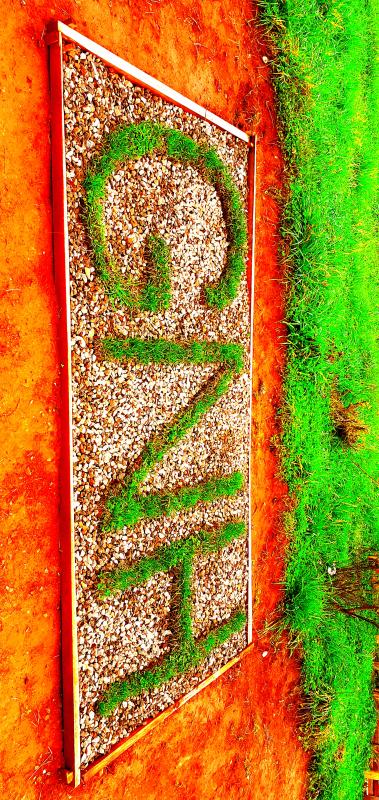 Overall maintenance of school 