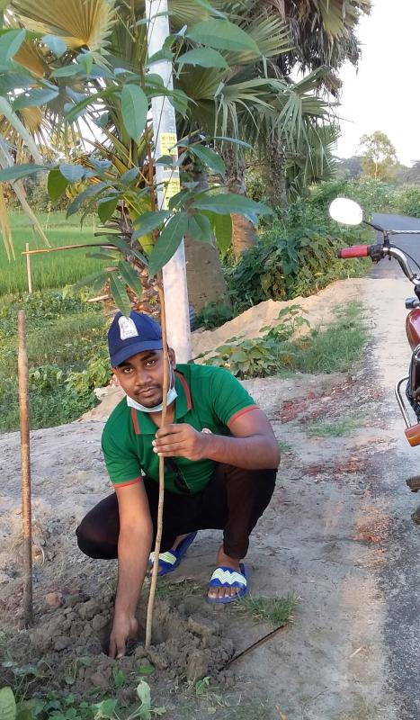 Tree Planting Program