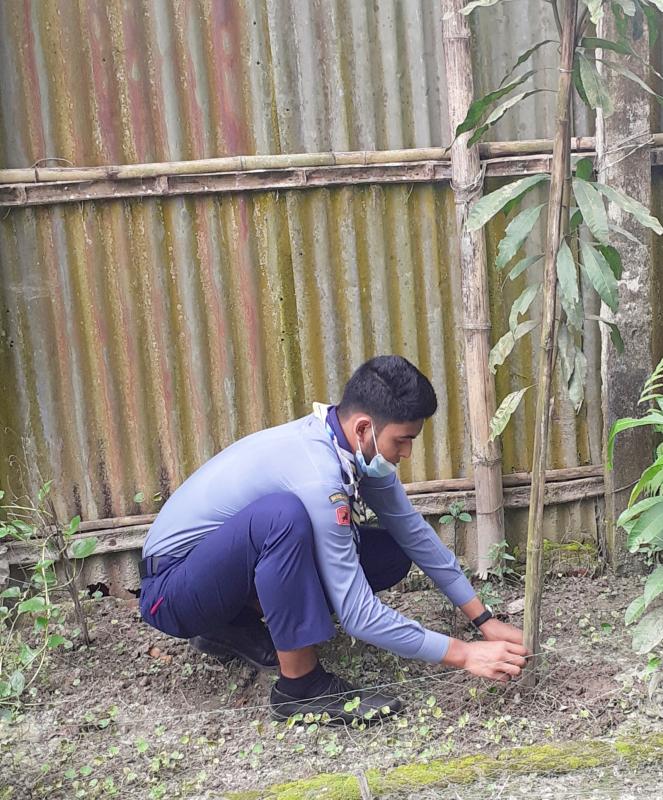 বৃক্ষরোপন 