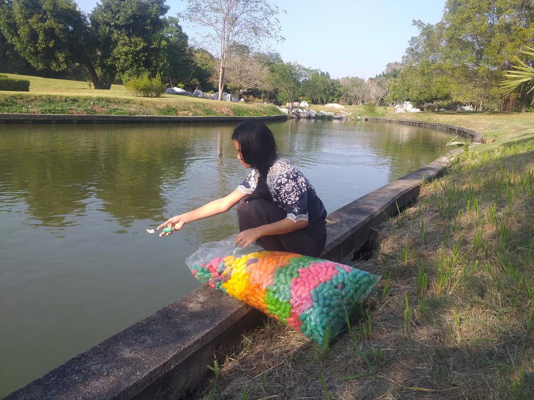 ทำความดี